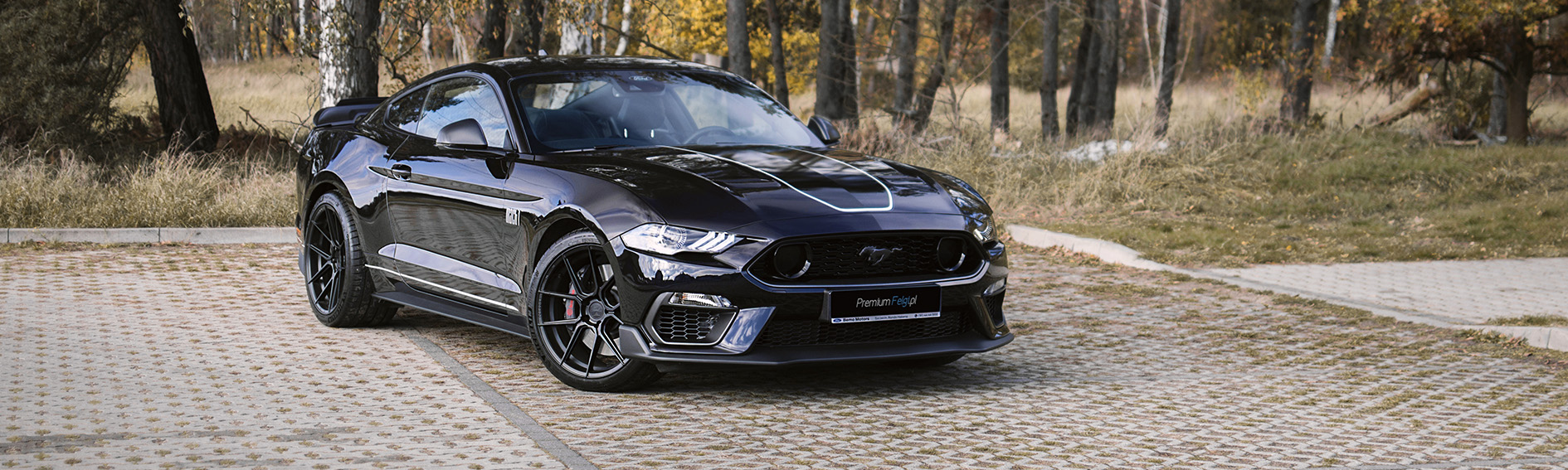 Customer car gallery - wheels for Ford Mustang GT 5.0 | Ferrada F8-FR8 - PremiumFelgi